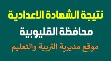 الآن متاح.. رابط نتائج الشهادة الإعدادية في القليوبية لعام 2025 بالاسم ورقم الجلوس
