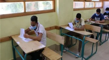 نتيجة الشهادة الإعدادية لعام 2025 في القليوبية متاحة الآن.. رابط مباشر بالاسم ورقم الجلوس