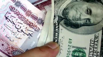 أعلى سعر للدولار اليوم 25 يونيو 2025