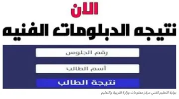 نتائج الدبلومات الفنية 2025: ترقب كبير في الإسكندرية والمحافظات.. رابط الاستعلام وخطوات الحصول على النتيجة