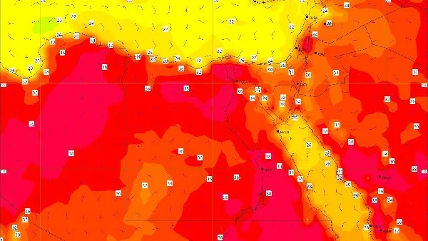 الأرصاد تنبه: ضباب في الصباح ورياح قوية في هذه المناطق