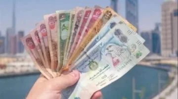 استقرار قيمة الدرهم الإماراتي أمام الجنيه المصري اليوم الأربعاء 25 يونيو 2025