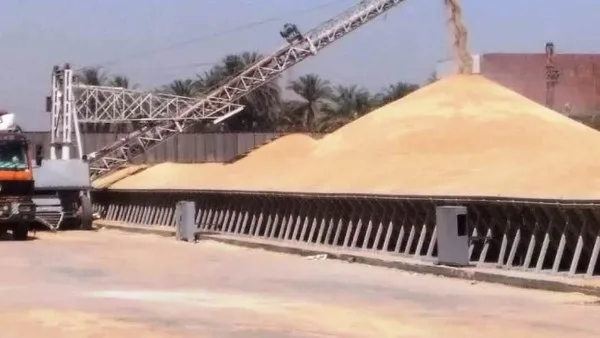 أخبار أسوان: جلسات توعية لترشيد استهلاك الكهرباء، ومراقبة توريد القمح وإزالة التعديات.