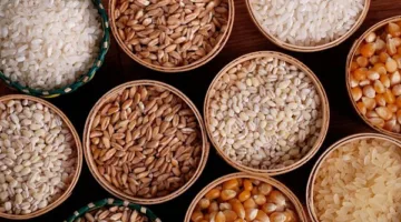 أسعار الحبوب في محافظة الغربية بتاريخ الأربعاء 25 يونيو 2025