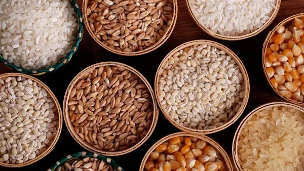 أسعار الحبوب في محافظة الغربية بتاريخ الأربعاء 25 يونيو 2025