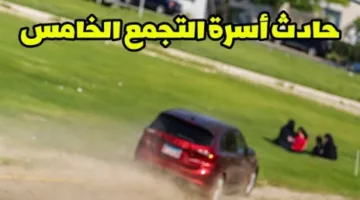 فيديو مروع.. امرأة تدهس عائلة كاملة في حديقة بمصر