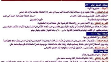 الثانوية العامة 2025: ملخص ليلة امتحان التاريخ في 20 ورقة.. لا تفوت فرصة الاطلاع عليه!