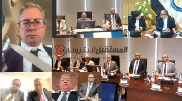 عادةً ما تتعاون بتروجت وإنبي في تمويل وبناء مصنع حمض الفسفوريك في الوادي الجديد.
