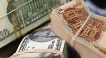تراجع جديد للدولار أمام الجنيه المصري في ظل استقرار السوق