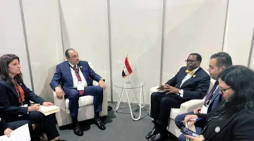 وزير قطاع الأعمال يجتمع برئيس مجموعة البنك الأفريقي للتنمية لمناقشة سبل التعاون