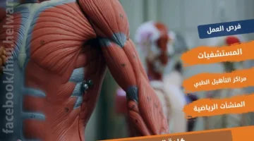 تنسيق الجامعات 2025: معلومات عن برنامج العلاج الطبيعي في جامعة حلوان الأهلية