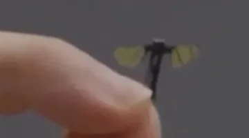 بعوضة صينية مصممة لأغراض التجسس والمراقبة