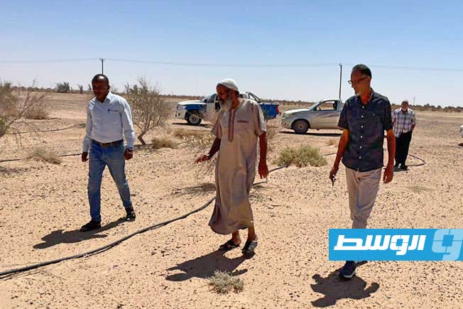 زيادة ميدانية للجنة تقييم مشروع النخيل والزيتون في غدامس، 25 يونيو 2025. (صفحة البلدية على فيسبوك)