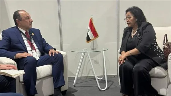 محمد شيمي: مصر تعمل على توجيه منصة تنموية في أفريقيا لتعزيز التكامل الاقتصادي.