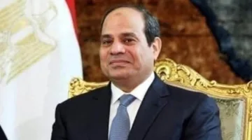 أسامة شلبي يتولى رئاسة مجلس الدولة ومحمد خليل الشناوي يُعيّن في هيئة النيابة الإدارية