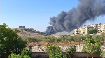 “سديمٌ ضارّ”… جريمة بيئية في قرية في الجنوب! (فيديو)