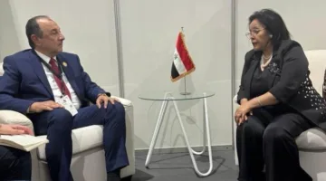 وزير قطاع الأعمال العام يلتقي بالرئيسة التنفيذية لوكالة تطوير الاتحاد الأفريقي “أودا-نيباد”