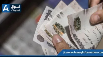 رفع قيمة القسط السنوي المدفوع من “المالية” لـ”المعاشات” إلى 238.550 مليار جنيه