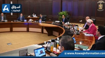 مجلس الوزراء يخصص أراضي في ثلاث محافظات لتنفيذ مجموعة من المشاريع