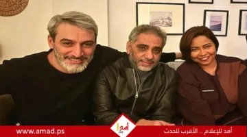 تفاصيل الأغنية المشتركة بين فضل شاكر وشيرين عبد الوهاب