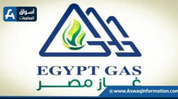 شركة غاز مصر توضح تفاصيل حادث كسر أنبوب الغاز الطبيعي في أسوان