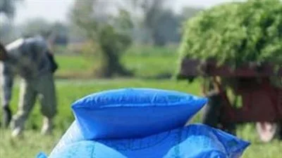 ارتفاع مفاجئ في أسعار الأسمدة غير المدعومة في مصر ارتفاع مفاجئ في أسعار الأسمدة غير المدعومة في مصر