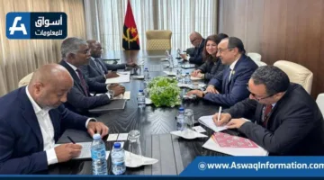مصر وأنغولا تستعرضان فرص التعاون في قطاعات النقل والتعدين والطاقة