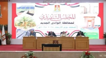 محافظ الوادي الجديد يطلب الإسراع في تفعيل التأمين الصحي في الفرافرة