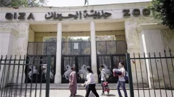 مدير حديقة الحيوان بالجيزة: الأسعار ستكون ملائمة للجميع… لن يُستثنى أحد من الزيارة