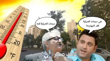 توقعات درجات الحرارة ليوم الخميس 26-6-2025: العظمى، المحسوسة، الصغرى ونسبة الرطوبة