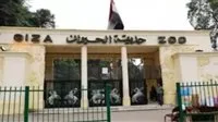 عاجل.. مدير حديقة الحيوانات يحدد تاريخ الافتتاح الرسمي