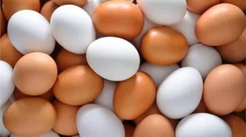 سوق الدواجن| تطورات مفاجئة في أسعار الدجاج والبيض اليوم الخميس 26 يونيو 2025