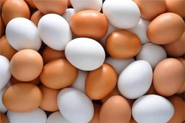 سوق الدواجن| تطورات مفاجئة في أسعار الدجاج والبيض اليوم الخميس 26 يونيو 2025