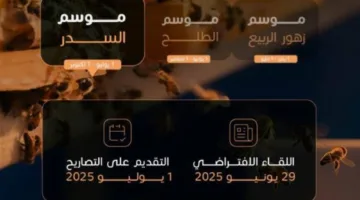بداية موسم الحصاد لنبات السدر لدى النحالين