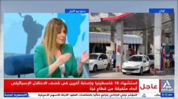 مستشار الجمعية المصرية في الأمم المتحدة: أمن الخليج يعتبر خطًا أحمر بالنسبة للقيادة المصرية