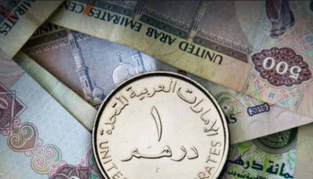 سعر الدرهم الإماراتي اليوم يظل ثابتًا مقابل الجنيه.. ومتوسط السعر يبلغ 13.57 جنيه