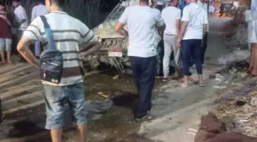 تصادم سيارة مع عربة في البدرشين يسفر عن إصابة بعض الأشخاص ومقتل حصان | صور