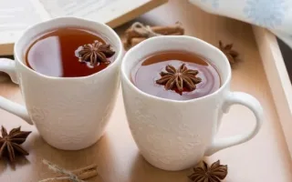 شاي اليانسون النجمي: 6 فوائد صحية أساسية لا يمكنك الاستغناء عنها