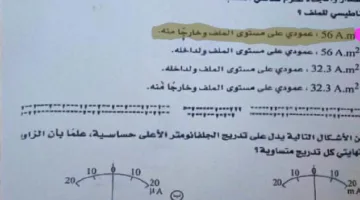 نموذج الحل لامتحان الفيزياء للشهادة الثانوية 2025.. “الإجابة النموذجية”