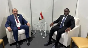 شيمي: الشركات المصرية قادرة على تنفيذ مشاريع كبيرة في أنغولا في قطاعي البنية التحتية والسياحة