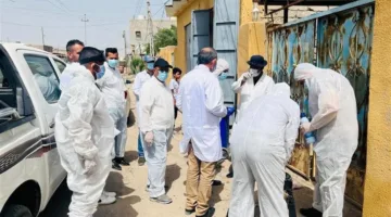 توثيق 7 حالات إصابة بالحمى النزفية في قضاء الزبير