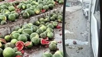 انقلاب مركبة محملة بالبطيخ في نفق الدائري باتجاه طريق الواحات