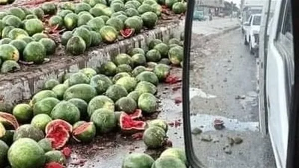 انقلاب مركبة محملة بالبطيخ في نفق الدائري باتجاه طريق الواحات انقلاب مركبة محملة بالبطيخ في نفق الدائري باتجاه طريق الواحات