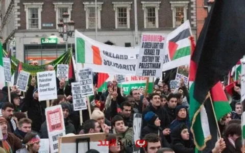 تقارير إسرائيلية: تزايد مقاطعة المنتجات الزراعية الإسرائيلية في أوروبا تقارير إسرائيلية: تزايد مقاطعة المنتجات الزراعية الإسرائيلية في أوروبا
