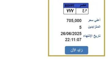 سعرها 700 ألف جنيه: كيفية المشاركة في مزاد للحصول على لوحة سيارة فريدة