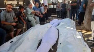 زيادة عدد ضحايا العدوان الإسرائيلي على غزة ليصل إلى 56,259 شهيدًا