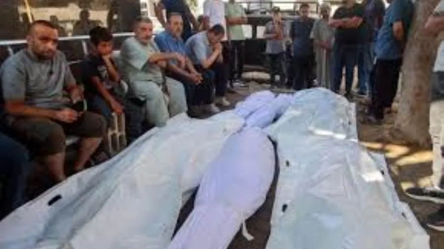 زيادة عدد ضحايا العدوان الإسرائيلي على غزة ليصل إلى 56,259 شهيدًا زيادة عدد ضحايا العدوان الإسرائيلي على غزة ليصل إلى 56,259 شهيدًا
