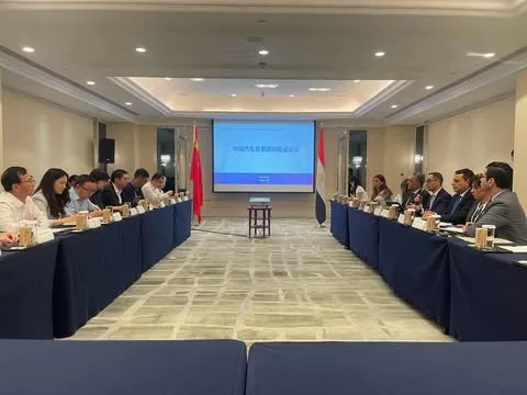 وزير الاستثمار: الحكومة تطبق استراتيجيات لتشجيع زيادة إنتاج السيارات الكهربائية