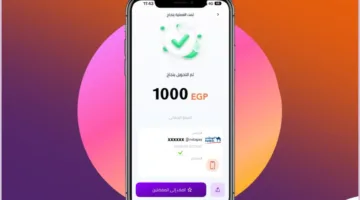 بأسلوب بسيط: كيفية تفعيل إنستجرام باي للمرة الأولى في مصر؟
