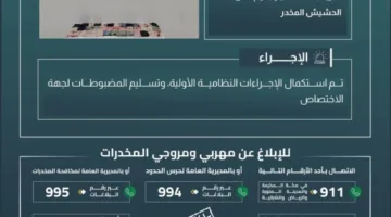 حرس الحدود في جازان يوقف تهريب 43.9 كيلوجرام من المخدرات القنبية